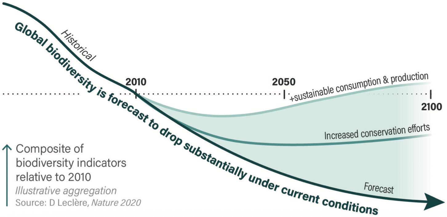 statistics:The next 30 years will prove pivotal for Earth’s biodiversity
